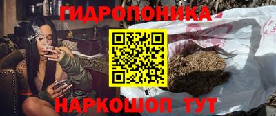 соль ск Тара
