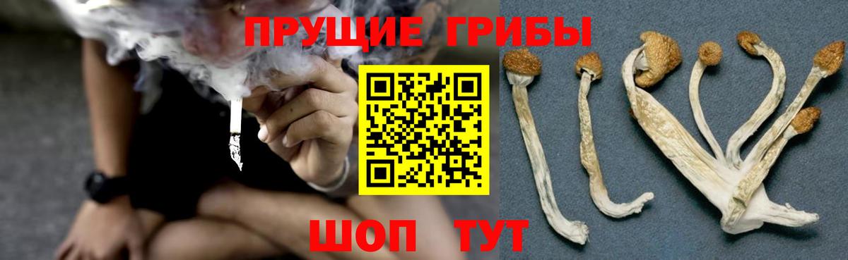 Псилоцибиновые грибы мухоморы  Вход с VPN  Мурино 